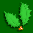 Holly